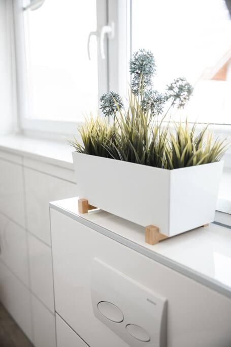 Modernes Apartment Schwarzenfeld ภายนอก รูปภาพ